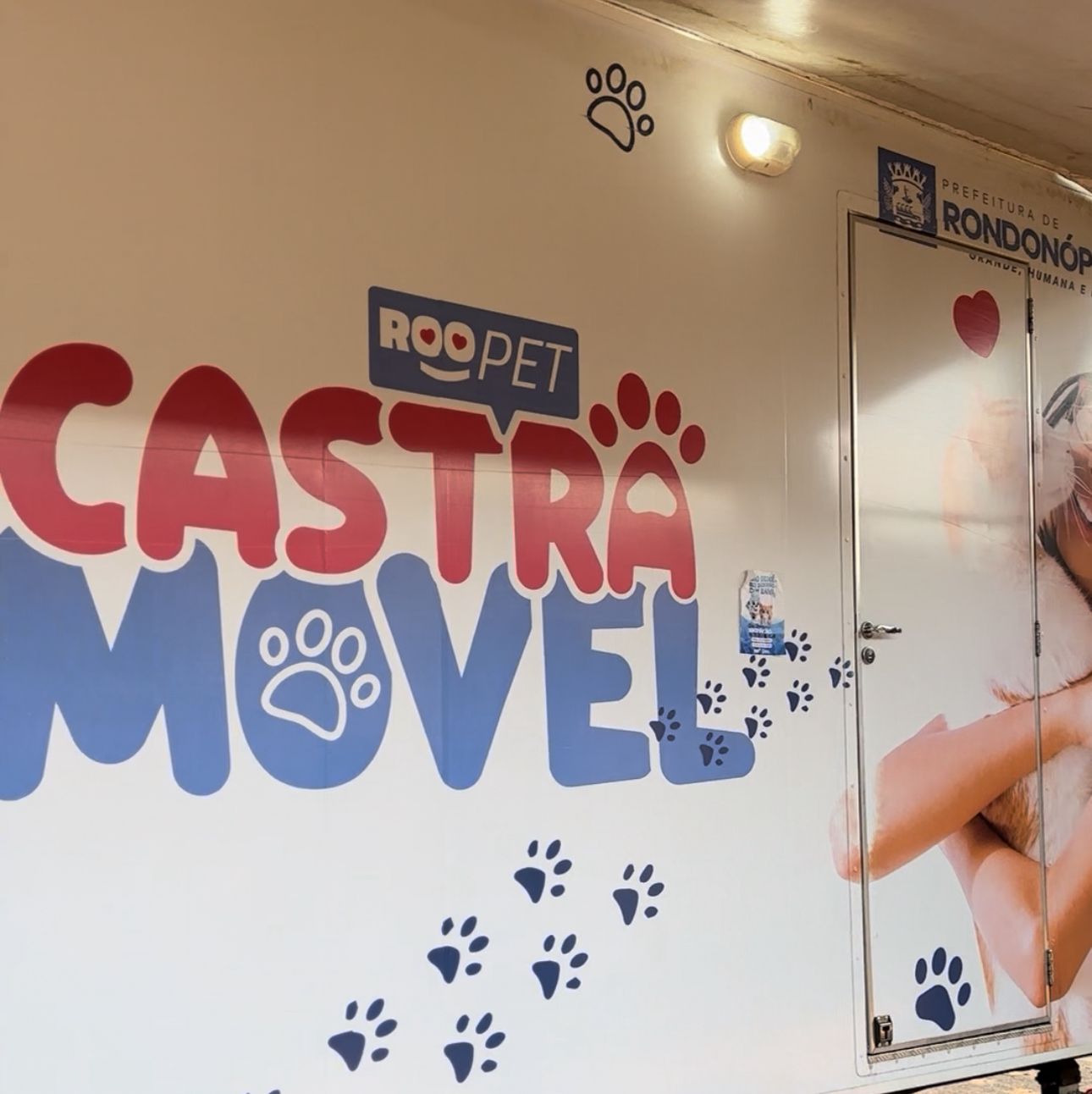 Cibear realiza mais de 2.600 castrações em 6 meses em Rondonópolis