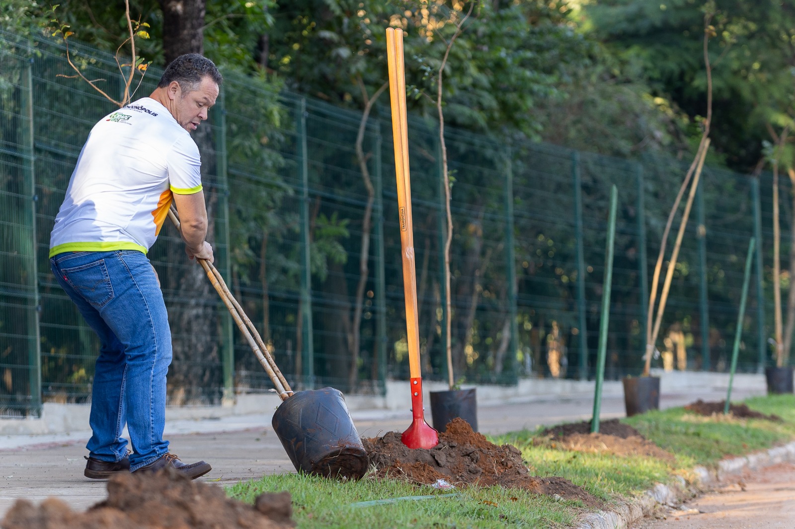 Prefeito marcará Dia da Árvore com mutirão de plantio de mudas