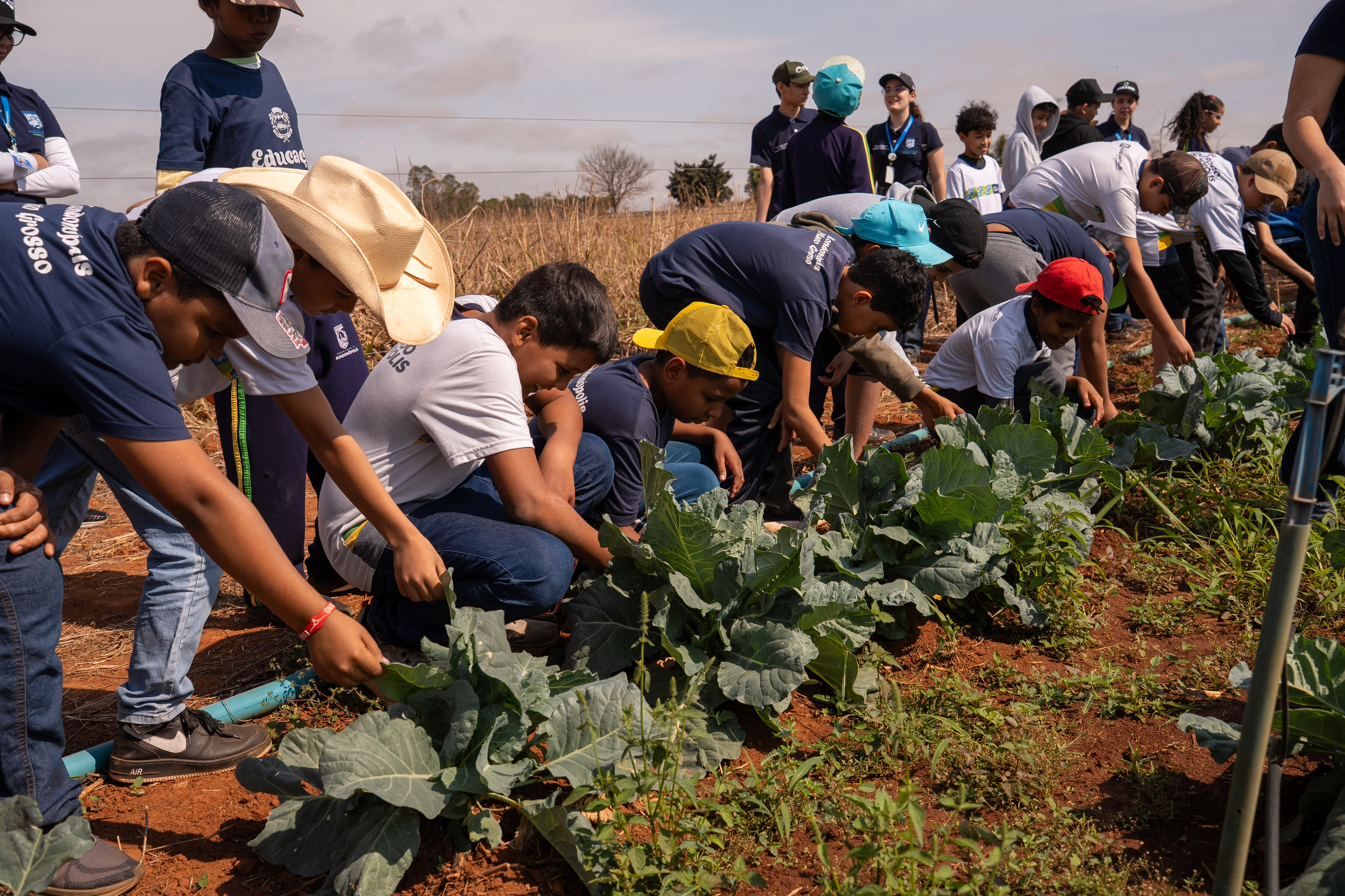 Projeto leva alunos da rede municipal para conhecer o cultivo de hortaliças