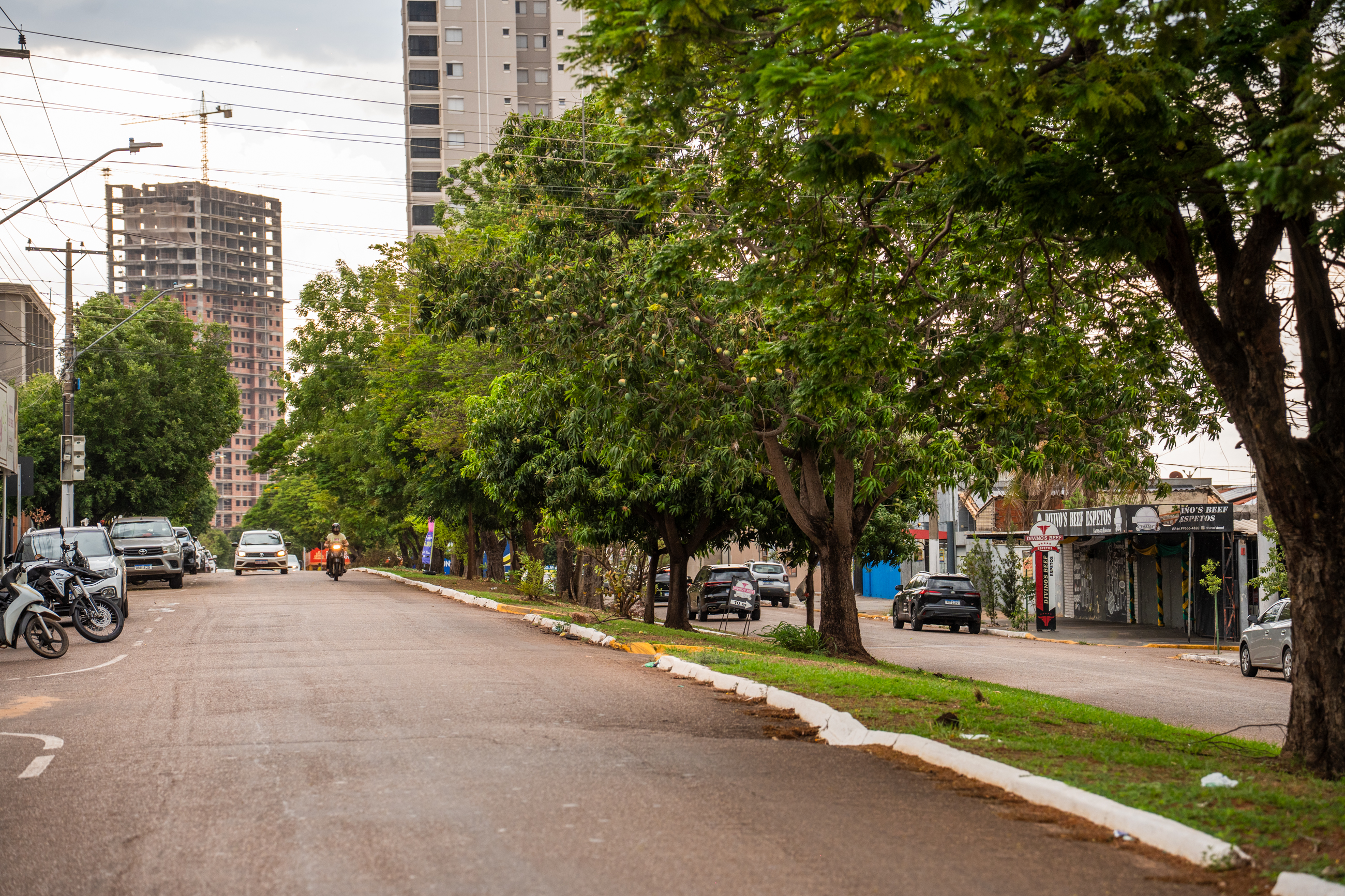 Entre as mais quentes do país, Rondonópolis pode ter redução de até 8°C com ruas arborizadas