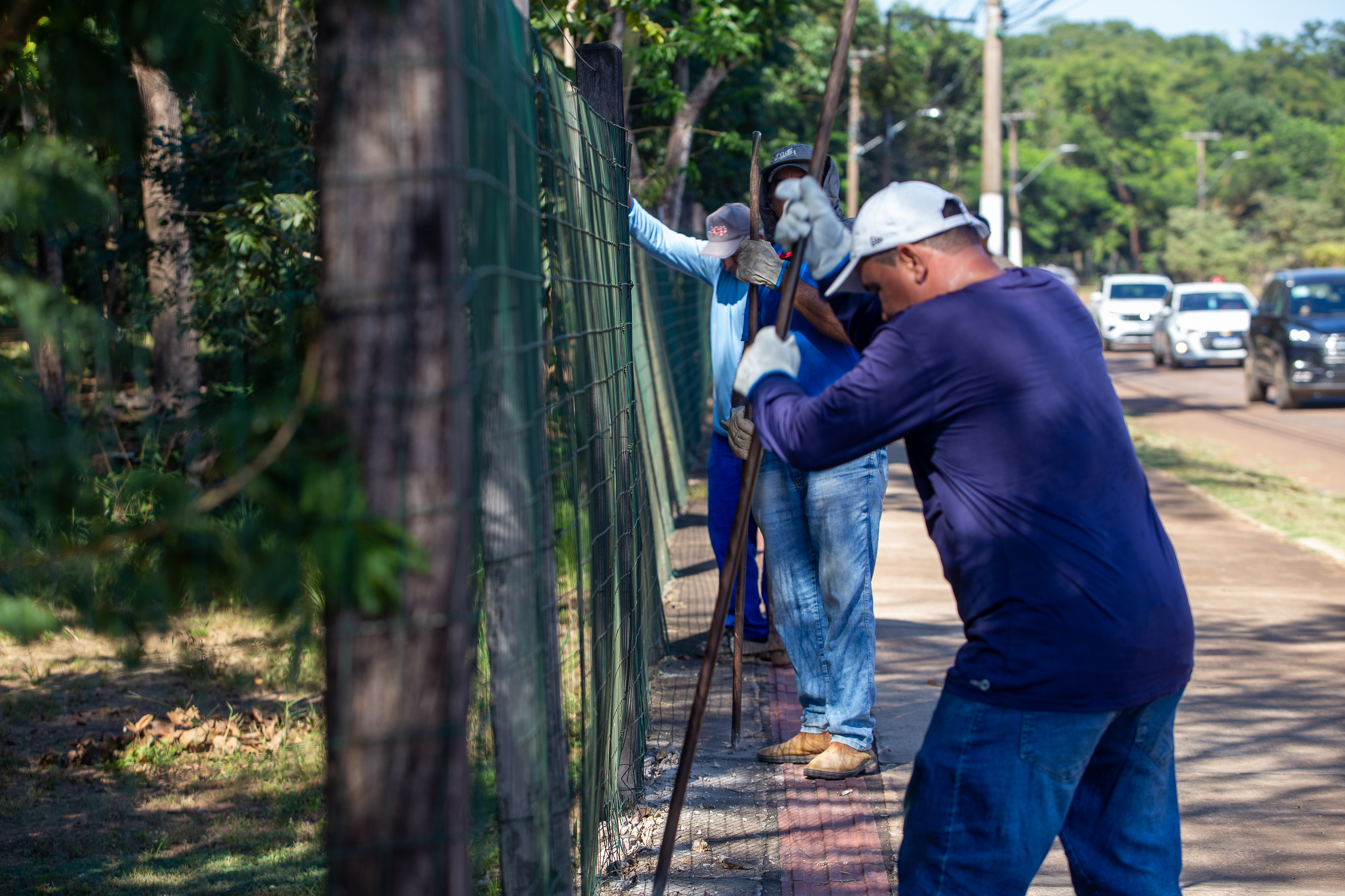 Cercamento Horto Florestal