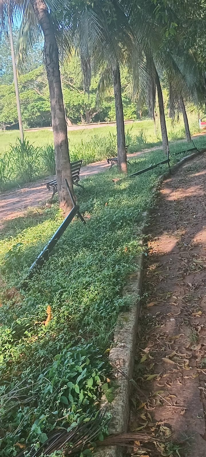 Foto 224